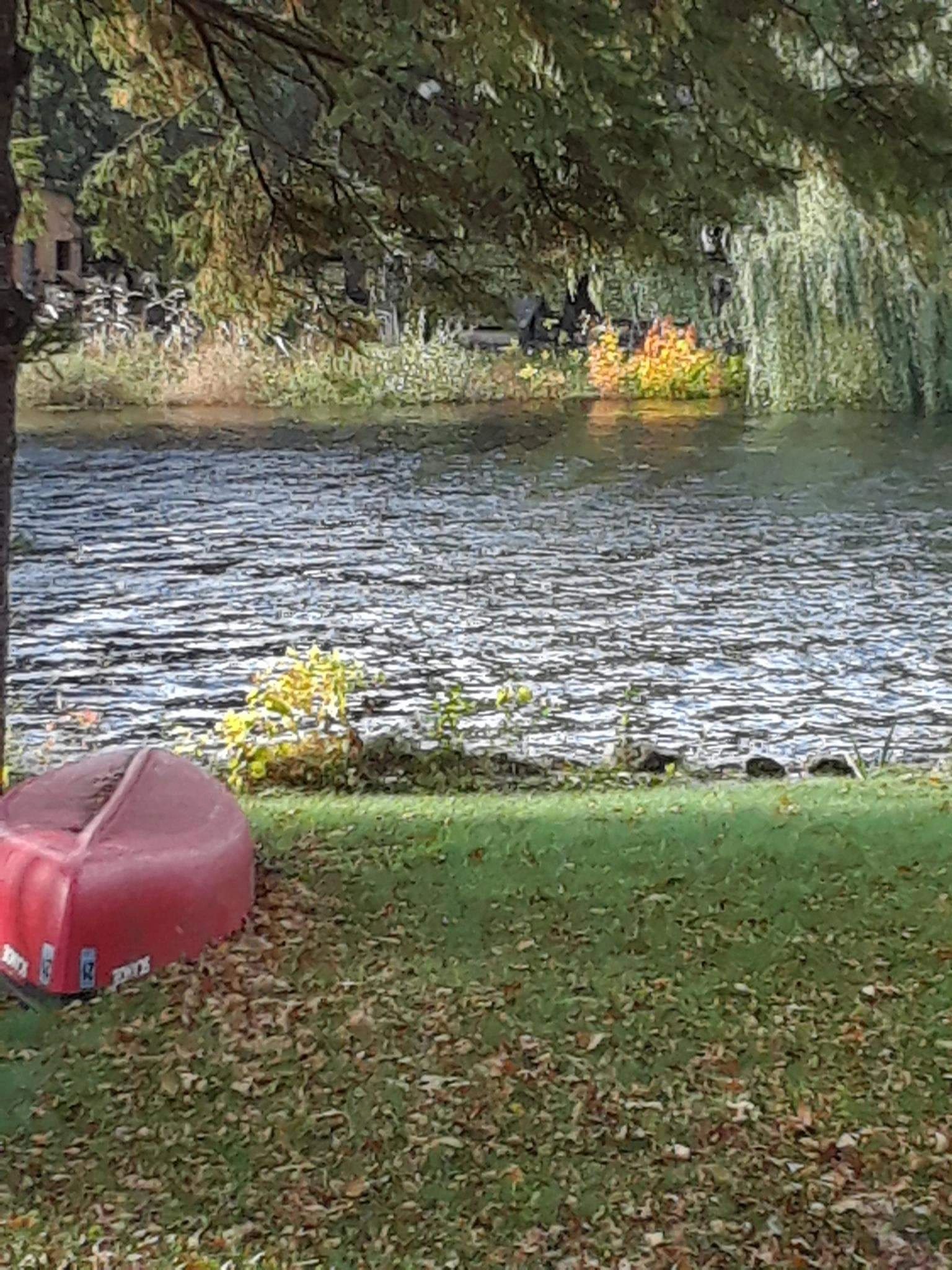 Briggs Lake Chain Association in Clear Lake, Minnesota